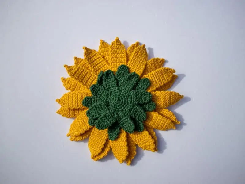 sunflower back