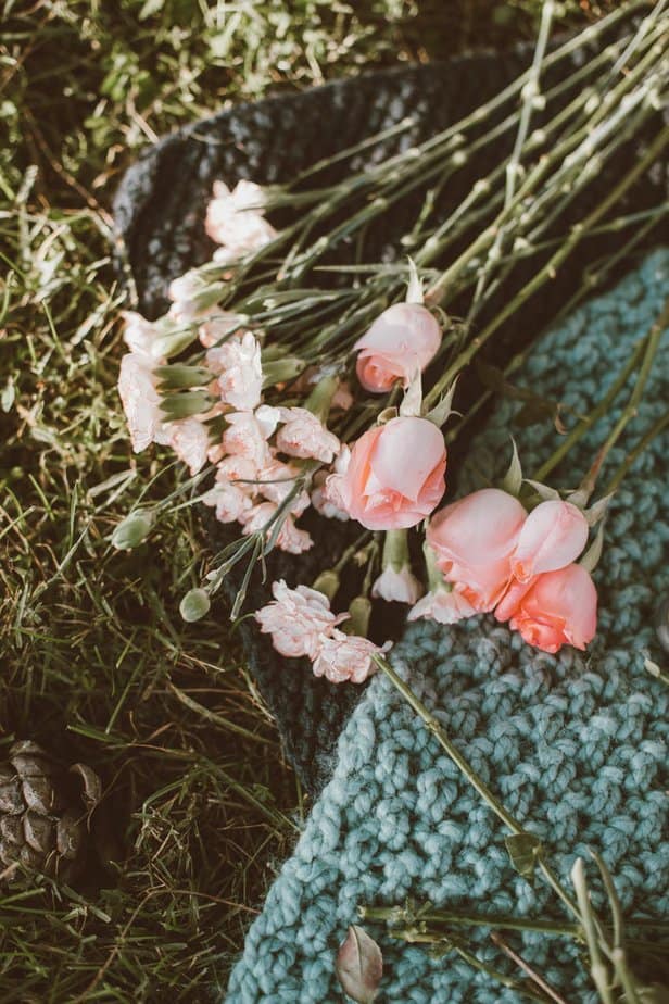 pink flowers on the ground